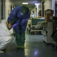 OMS: para cuándo debería esperarse la vacuna contra el coronavirus