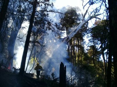 Grave oportunismo en la Comarca Andina tras los incendios