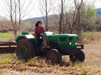 Homenaje a las Mujeres Rurales: se conocieron los proyectos preseleccionados