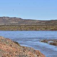 Intentó cruzar el río y desapareció: la búsqueda continúa en Neuquén
