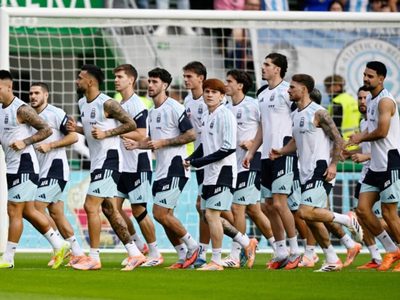 A seis meses de su llegada: la pésima noticia que recibió una figura de la Selección Argentina