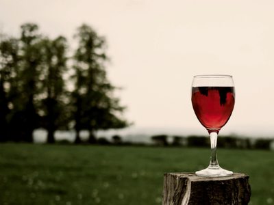 ¿Cómo se sobrepondrán las bodegas tras el coronavirus?