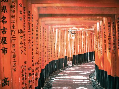 Tras dos años y medio de restricciones, se reabre el turismo en Japón