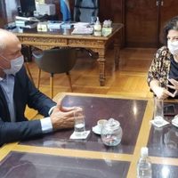 Zgaib evaluó junto a Vizzotti el presente sanitario de Río Negro