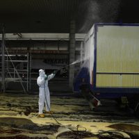 El brote de fiebre aftosa en Europa Central provoca sacrificios de animales y cierres de fronteras