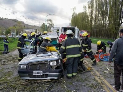 Inesperado accidente sobre ruta 40: cayó un árbol y aplastó a un vehículo