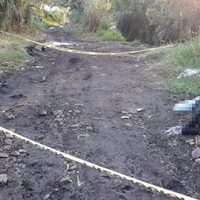 Ejecutan a dos mujeres y un hombre en Los Reyes, Michoacán