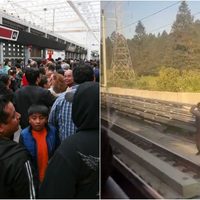 Captan a hombre caminando por las vías del Tren El Insurgente; interrumpen servicio (Video)