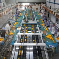 ¡Para evitar la crisis! Perotti destinará 4.000 millones de pesos para subvencionar a las pymes