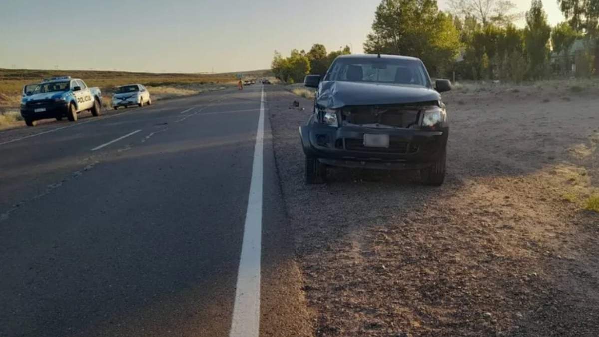 La camioneta que impactó con el caballo. Fuente: (LMNeuquén)