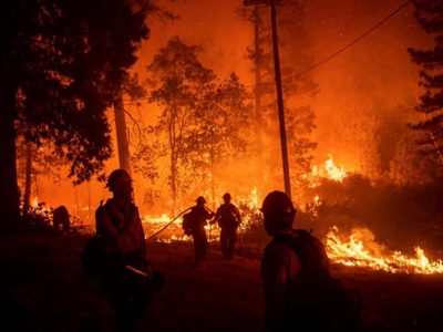Invertirán 50 millones de dólares para combatir incendios forestales