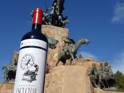 Vinos para escuchar, una propuesta diferente desde Mendoza