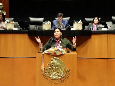 PAN y Movimiento Ciudadano se unen al oficialismo para prohibir el maíz transgénico