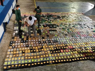 Narcos mexicanos, “actores cada vez más relevantes”