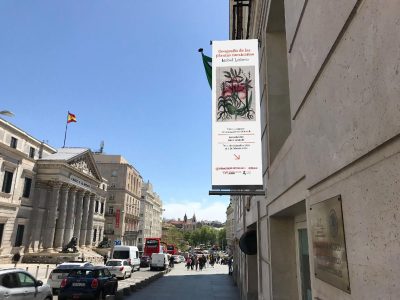 Isabel Leñero en Madrid: 89 dibujos de plantas mexicanas