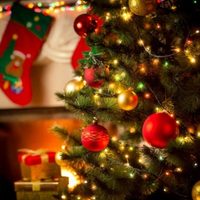 Paso a paso: hacé estos increíbles arbolitos de Navidad sin gastar y superfáciles