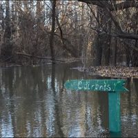 Por la crecida del Limay y el Neuquén continúan cerrados el Parque Agreste y la Península Hiroki