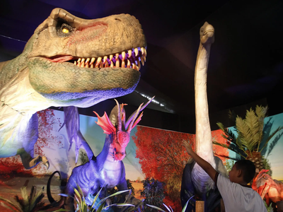 "Dinosaurios y dragones fantásticos": la exhibición más increíble a escala real, llega a Buenos Aires
