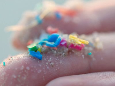 Un peligro para tu familia: 5 formas simples de evitar el consumo y la exposición a microplásticos