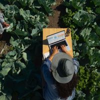 Llegan las nuevas MacBook Pro con chips M4; ¿cuánto costarán en México? (Video)