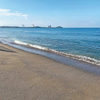 Despojo con compraventas simuladas en Mazatlán
