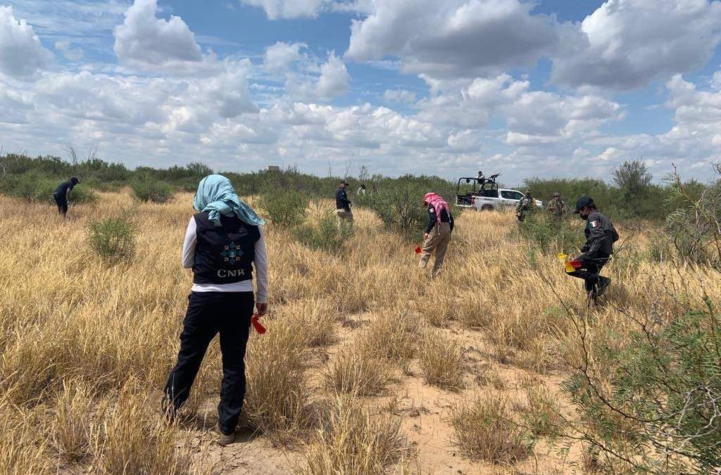 Acciones de búsqueda en Tamaulipas