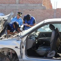 La Policía encontró más de 60 vehículos abandonados en un desarmadero de Centenario