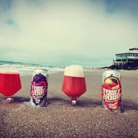 Cervecería de Mar del Plata saca una línea con "frutas de verdad"