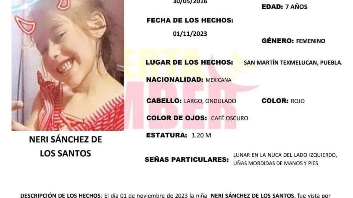 La ficha de búsqueda de Neri