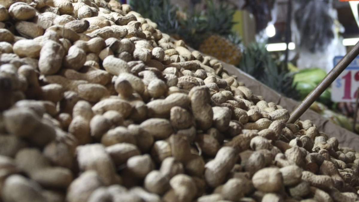 Alergia al cacahuate. Una solución