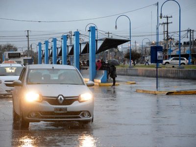 Casas inundadas y árboles caídos por la tormenta en Cipolletti