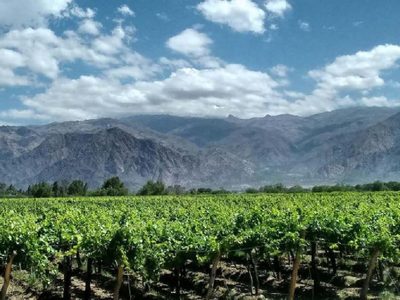 Del interior se extrajeron U$S 200 mil millones