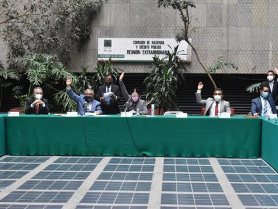 Diputados avalan designación de Elvira Concheiro en la Tesorería de la Federación