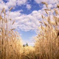 ¿Cuándo empieza el verano de 2023?