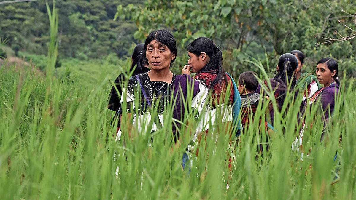 Desplazados en Chiapas