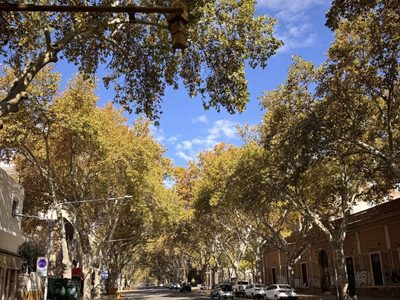 Se espera un fin de semana otoñal