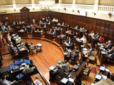 Un diputado sorprendió a todos y cantó antes de la sesión