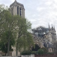 Notre Dame: el duelo un día después del incendio (Video)