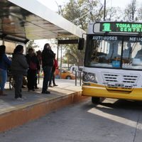 Multaron a Autobuses Neuquén: mirá que pasó...
