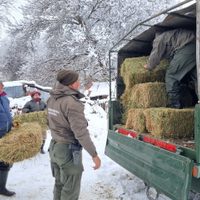 Gendarmería continúa con la asistencia tras el temporal de nieve