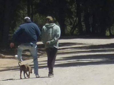 Parque Nacional Nahuel Huapi: denunciaron agresiones de residentes al intentar ingresar con mascotas