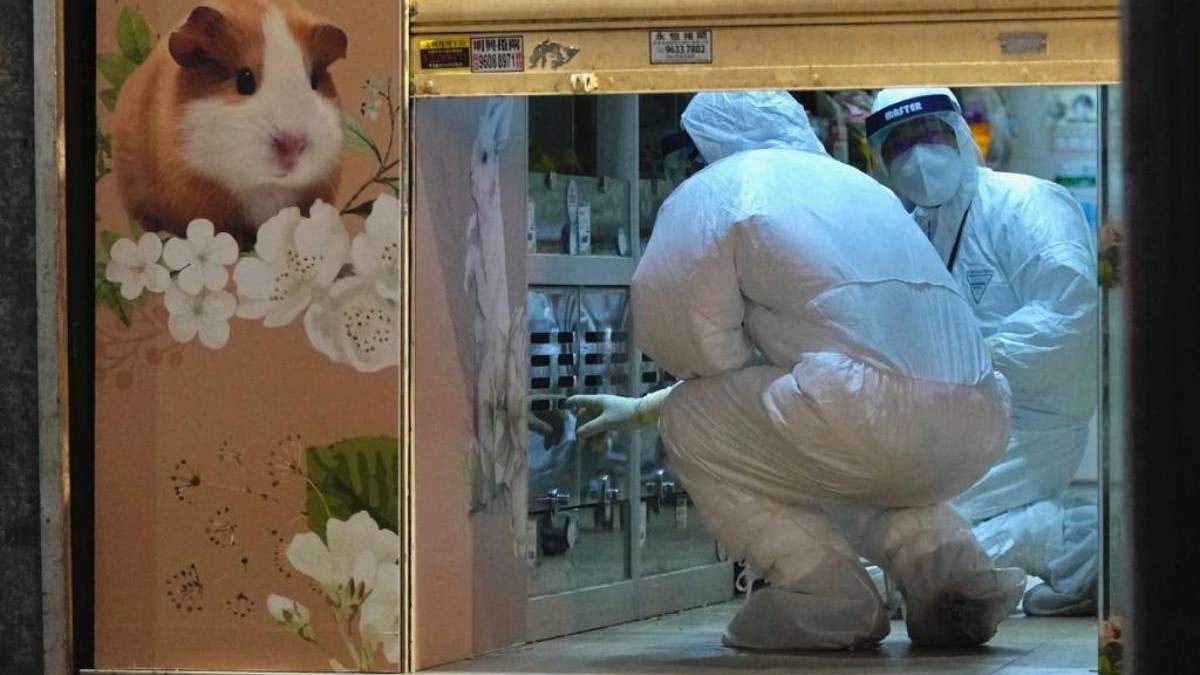 Desinfección en la tienda de mascotas en la que fue detectado el brote