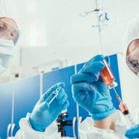¡Gran avance! La UBA probará una vacuna contra el coronavirus en humanos