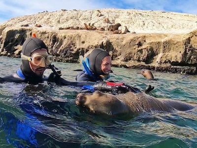 Buceo con ballenas en Puerto Madryn: una propuesta única solo para enamorados de la Patagonia