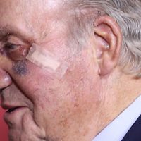 "Era innecesario y una falta total de respeto": golpean en el piso al Rey Juan Carlos