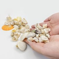 Desempolvá los caracoles de playa que tenés y algún frasco de vidrio: creá este hermoso portavelas