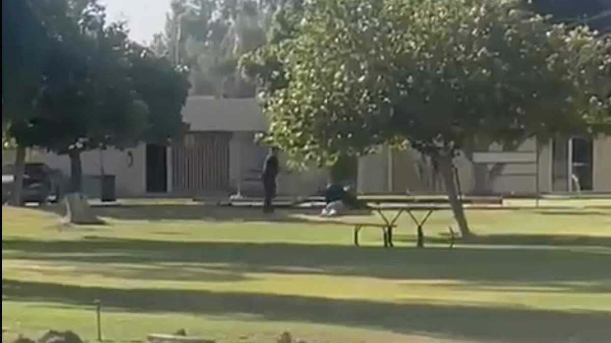 El video que se viralizó en redes