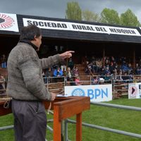 En Junín de los Andes comenzó la exposición de bovinos con presencialidad