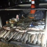 Personal de guardafaunas secuestró truchas a pescadores furtivos en San Martín de los Andes