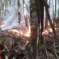 Investigan relación entre incendios y la prohibición de fiestas electrónicas
